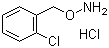 1-[(Aminooxy)methyl]-2-chlorobenzene hydrochloride 5555-48-6